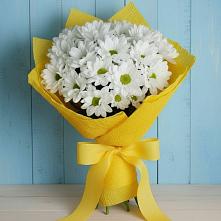 Букет цветов из:  Хризантемы #REPLACE_PRED# Солнечном Красноярского края