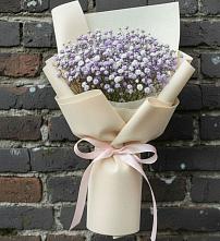 Букет цветов из:  Гипсофила #REPLACE_PRED# Солнечном Красноярского края