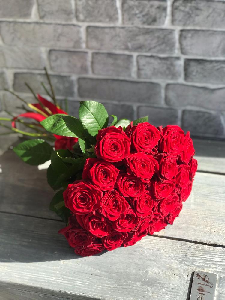 Букет Красные розы Фридом в Солнечном Красноярского края