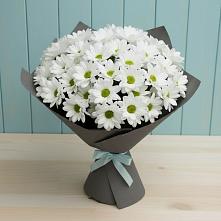 Букет цветов из:  Хризантемы #REPLACE_PRED# Солнечном Красноярского края