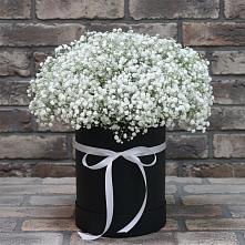 Цветочная композиция из Гипсофила в шляпной коробке в Солнечном Красноярского края