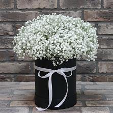 Цветочная композиция из Гипсофила в шляпной коробке в Солнечном Красноярского края