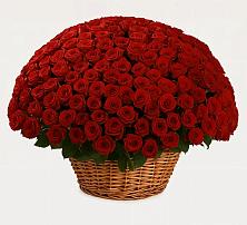 Премиум букет из: Розы в Солнечном Красноярского края