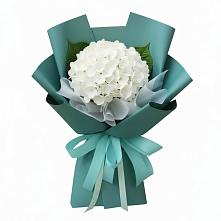 Букет цветов из:  Гортензия в Солнечном Красноярского края